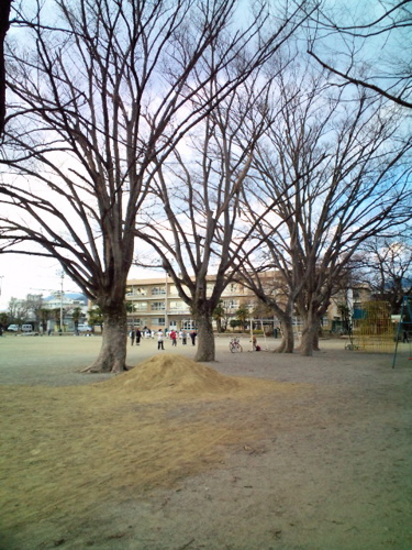 20100221161323.jpg