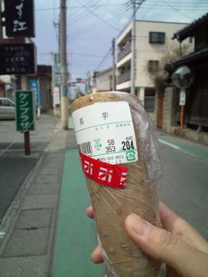 20100323113930.jpg