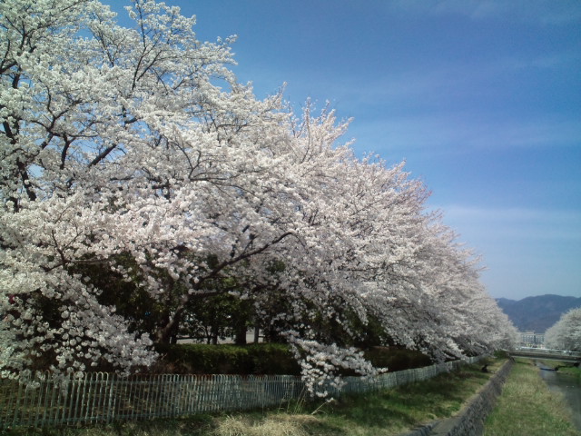 20120410122836.jpg