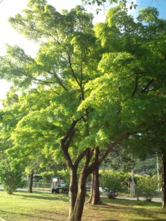 20120518163629.jpg