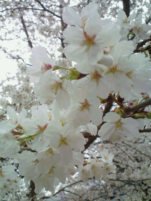 20130323125935.jpg