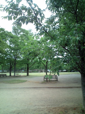 20130606081123.jpg