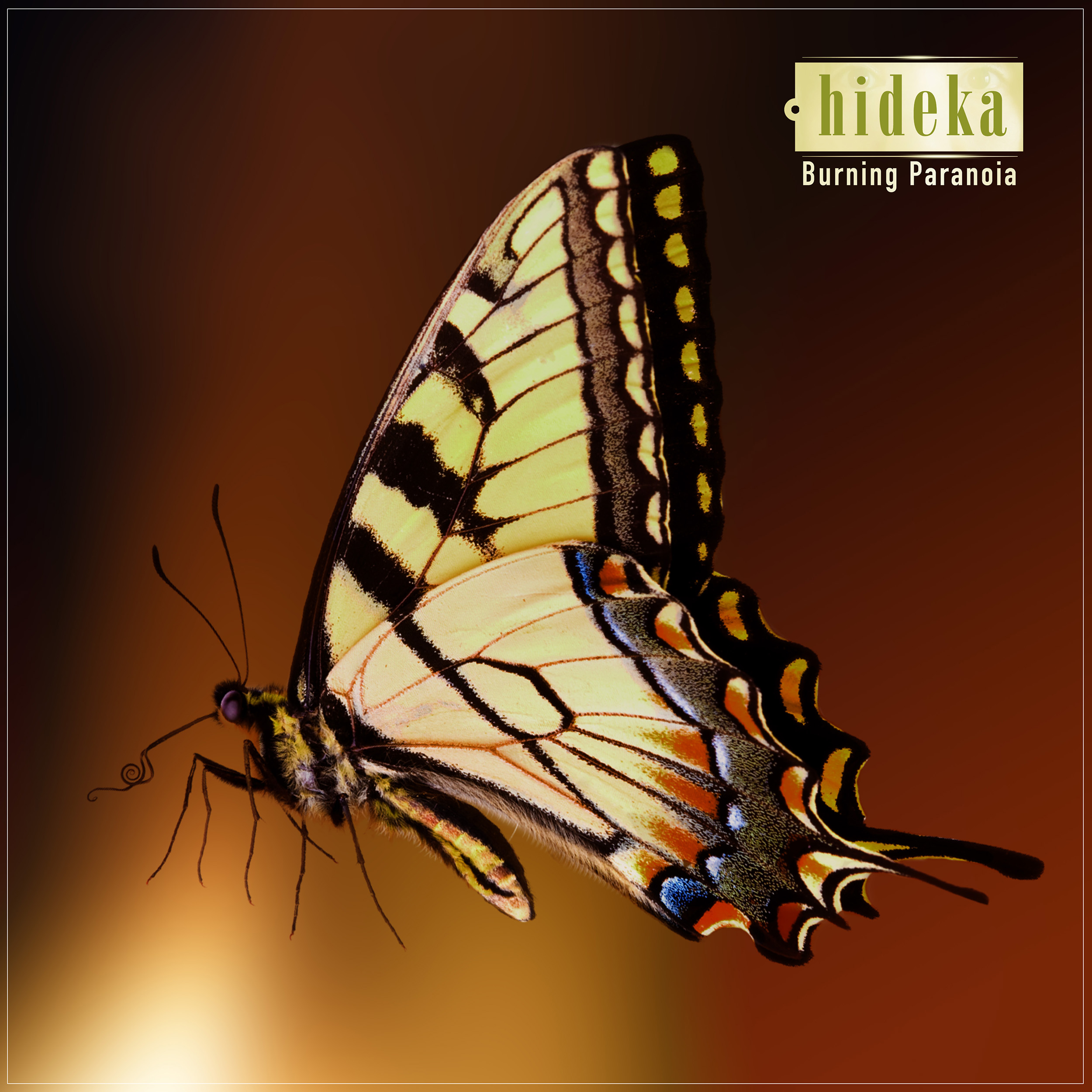 BURNING%20PARANOIA_COVER_Hideka_RGB_DEF.jpg