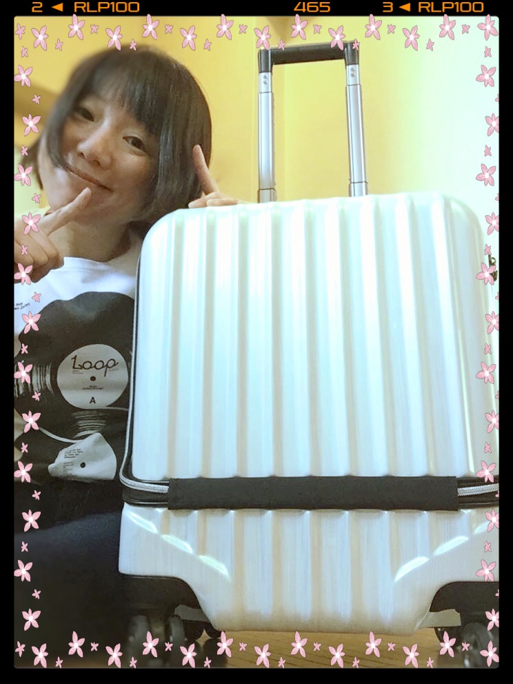 suitcase.JPG